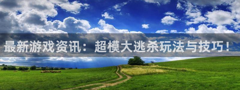 鼎点娱乐：最新游戏资讯：超模大逃杀玩法与技巧！