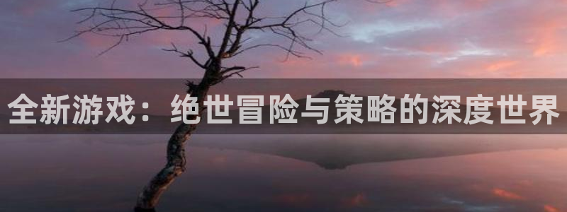 鼎点娱乐网页登录入口下载：全新游戏：绝世冒险与策略的深度世界