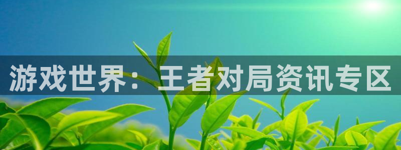 鼎点娱乐官网：游戏世界：王者对局资讯专区